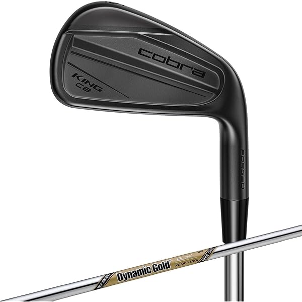 【限定価格】2023コブラmb/cb DGTourIssue s200 COBRA（ゴルフ） 【中古】 コブラKING FORGED CB MB 2023 DG